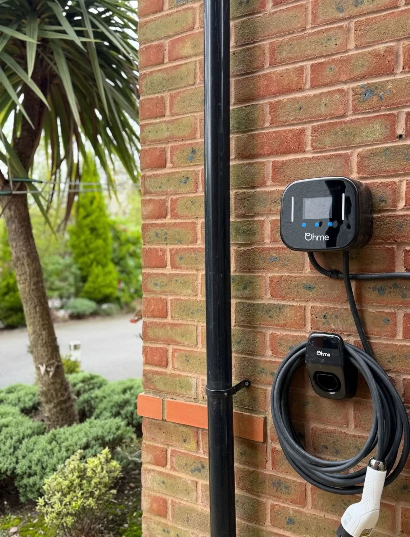 Ohme EV charger with a coiled tethered cable on a brick wall beside a black downpipe and garden planting